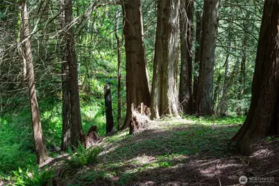 60 Miller Road, Friday Harbor, WA 98250 - Photo 27