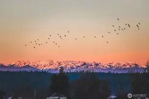 19905 4th Ave NE, Poulsbo, WA 98370 - Photo 35