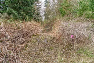 0 Nhn Polnell Road, Oak Harbor, WA 98277 - Photo 11