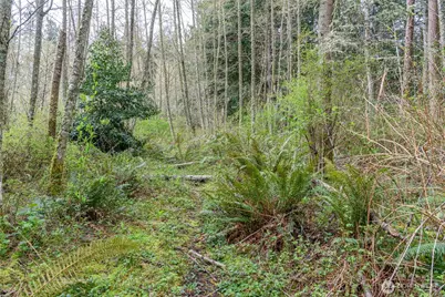 0 Nhn Polnell Road, Oak Harbor, WA 98277 - Photo 23