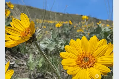 436 Antoine Creek Road #Lot I, Chelan, WA 98816 - Photo 15