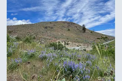 436 Antoine Creek Road #Lot I, Chelan, WA 98816 - Photo 3