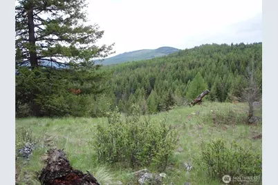 0 Edgewood Lane, Curlew, WA 99118 - Photo 3