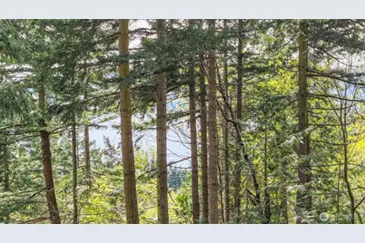 0 Xxx Campbell Lake Road, Anacortes, WA 98221 - Photo 27
