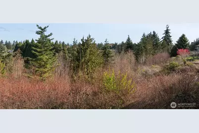 102 Hilltop Drive #B, Sequim, WA 98382 - Photo 11