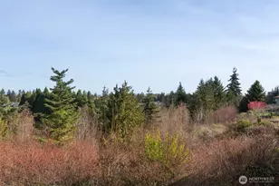 102 Hilltop Dr, Sequim, WA 98382 - Photo 11