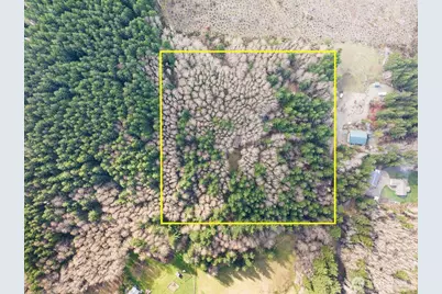 50 Raspberry Road, Elma, WA 98541 - Photo 5