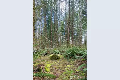 50 Raspberry Road, Elma, WA 98541 - Photo 19