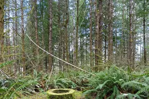 50 Raspberry Rd, Elma, WA 98541 - Photo 19