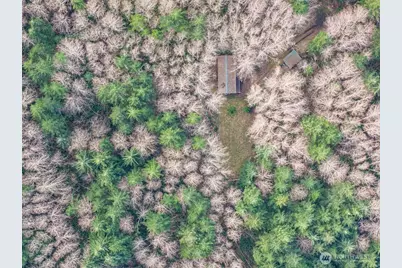 50 Raspberry Road, Elma, WA 98541 - Photo 23