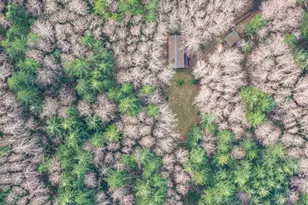 50 Raspberry Rd, Elma, WA 98541 - Photo 23