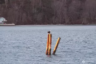 8208 Sandy Hook Dr, Clinton, WA 98236 - Photo 31