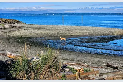 8208 Sandy Hook Drive, Clinton, WA 98236 - Photo 29