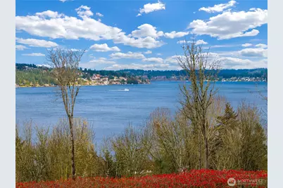 8005 Sand Point Way NE #A31, Seattle, WA 98115 - Photo 15