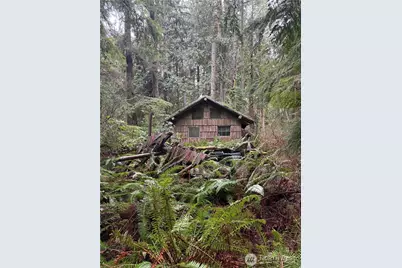 12313 150th Street NE, Arlington, WA 98223 - Photo 3