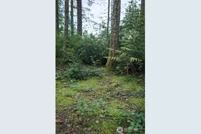 2495 Christopher Road NW, Seabeck, WA 98380 - Photo 3