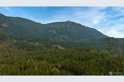 46009 SE 130th Place, North Bend, WA 98045 - Photo 27