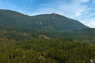 46009 SE 130th Pl, North Bend, WA 98045 - Photo 27