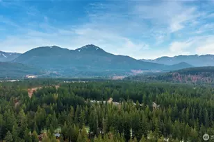 46009 SE 130th Pl, North Bend, WA 98045 - Photo 29