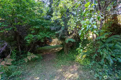 31729 558th St E, Ashford, WA 98304 - Photo 5