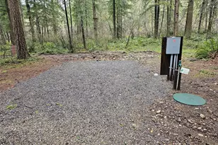 16727 Littlerock Rd SW, Rochester, WA 98579 - Photo 5