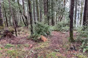 0 Bear St, Shelton, WA 98584 - Photo 1