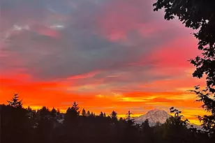 3619 Nassau Ave NE, Tacoma, WA 98422 - Photo 31