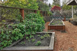 3203 E James St, Seattle, WA 98122 - Photo 33