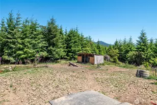 327 Parpala Rd, Naselle, WA 98638 - Photo 33