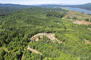 327 Parpala Rd, Naselle, WA 98638 - Photo 35
