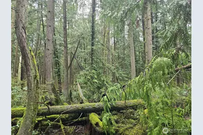 17425 McElroy Road, Arlington, WA 98223 - Photo 25