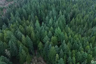 17425 McElroy Rd, Arlington, WA 98223 - Photo 1