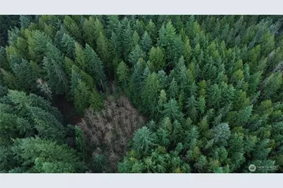 17425 McElroy Road, Arlington, WA 98223 - Photo 11