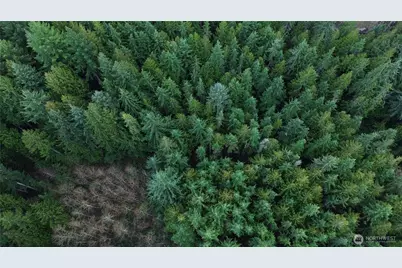 17425 McElroy Road, Arlington, WA 98223 - Photo 13