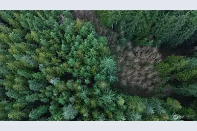 17425 McElroy Road, Arlington, WA 98223 - Photo 17