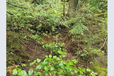 17425 McElroy Road, Arlington, WA 98223 - Photo 21