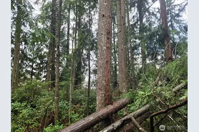 17425 McElroy Road, Arlington, WA 98223 - Photo 27