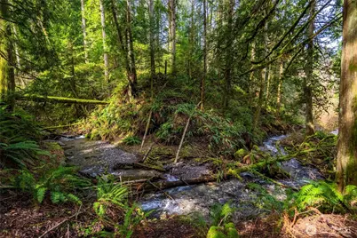 17231 Barrell Springs Lane, Bellingham, WA 98229 - Photo 35