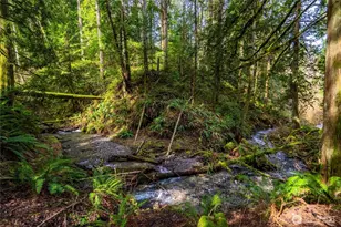 17231 Barrell Springs Ln, Bellingham, WA 98229 - Photo 35