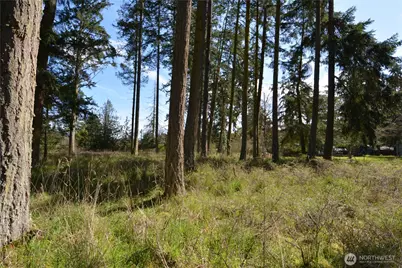 999 W Silberhorn, Sequim, WA 98382 - Photo 9