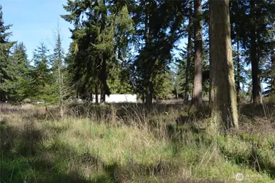 999 W Silberhorn, Sequim, WA 98382 - Photo 11