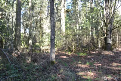 999 E Sequim Bay Road, Sequim, WA 98382 - Photo 9