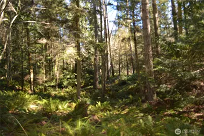 999 E Sequim Bay Road, Sequim, WA 98382 - Photo 13