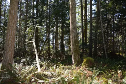 999 E Sequim Bay Road, Sequim, WA 98382 - Photo 7