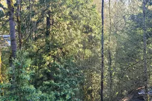 1317 Wildwood Blvd SW, Issaquah, WA 98027 - Photo 1