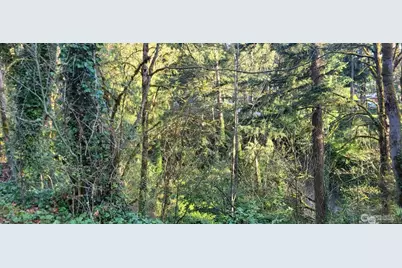 1317 Wildwood Boulevard SW, Issaquah, WA 98027 - Photo 5