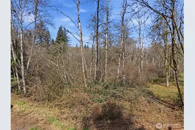 0 Xxx Viewridge Road, Onalaska, WA 98570 - Photo 11
