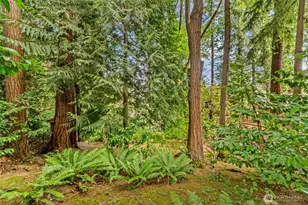 10554 NE 150th Ct, Bothell, WA 98011 - Photo 33