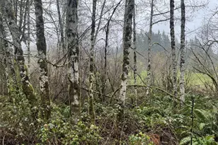 2625 Stonecrest Ln NW, Olympia, WA 98502 - Photo 1