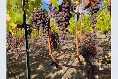 1673 Woodland Drive, Port Townsend, WA 98368 - Photo 33